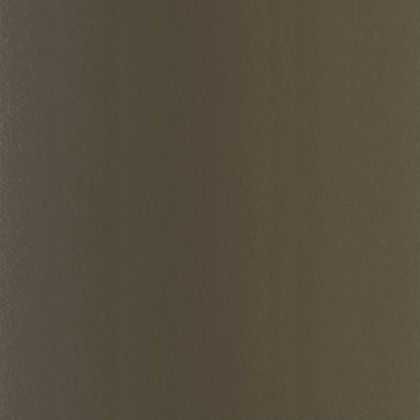 James Hardie Panel Fiber Cement Smooth Siding 48"x120" Timber Bark 1pc