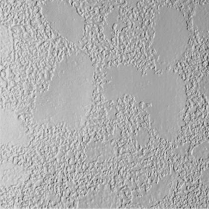 James Hardie Panel Fiber Cement Stucco Siding 48"x96" Primed 1pc