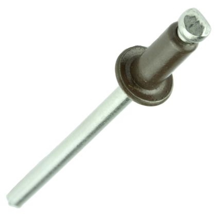 Lakefront 1/8" Stainless Steel Rivets Bag of 100 Mansard Brown