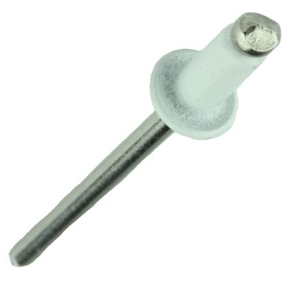 Lakefront 1/8" Stainless Steel Rivets Bag of 100 Regal White